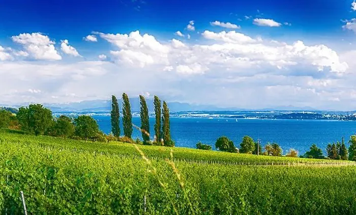 Penthouse - Sunset Dream Apartamento *